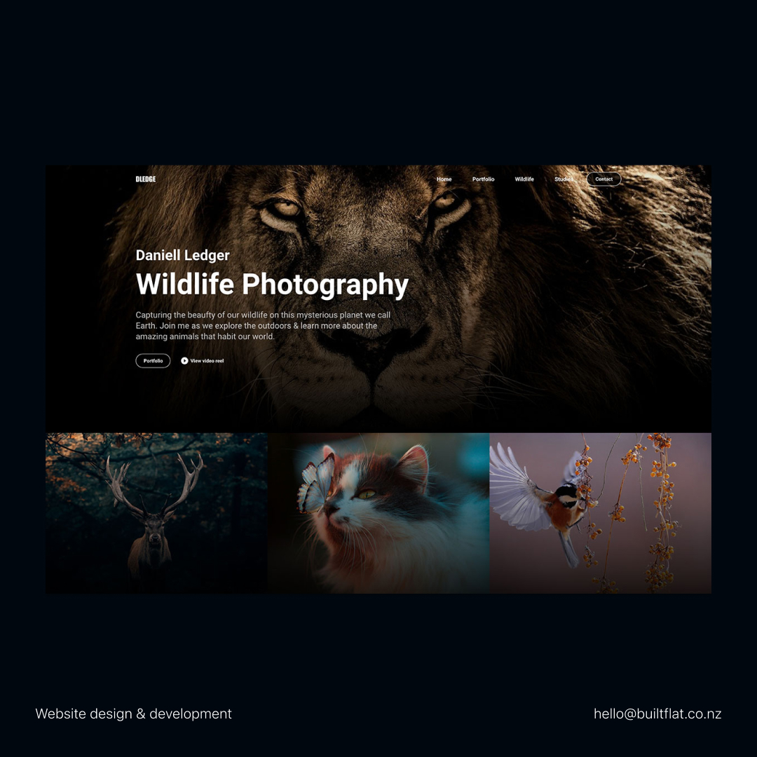 A custom designed photography portfolio website for Daniell Ledger