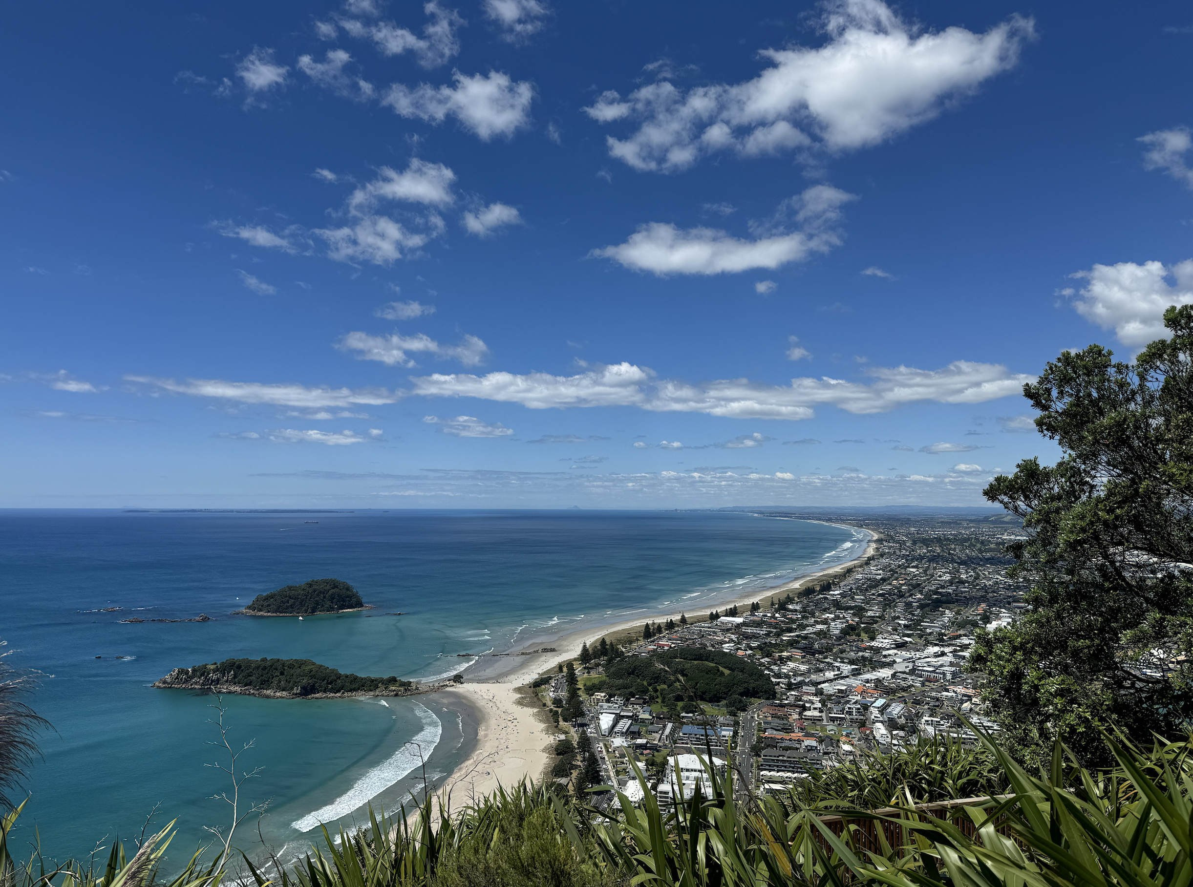 View of the beach of Mt Maunganui, Arataki & Papamoa from on top of the mountain.